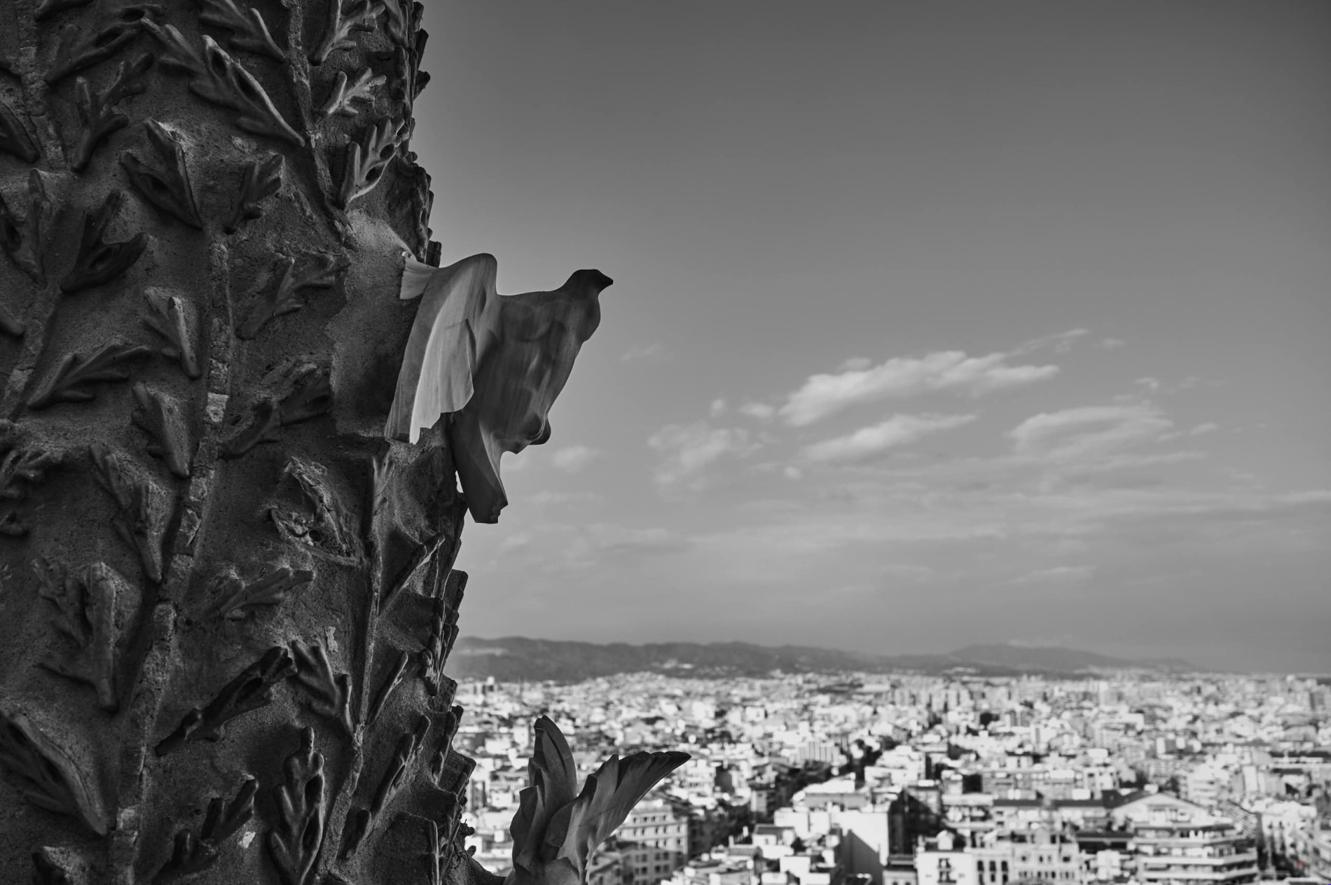 L1010561 2560x1704 1 Barcelone
